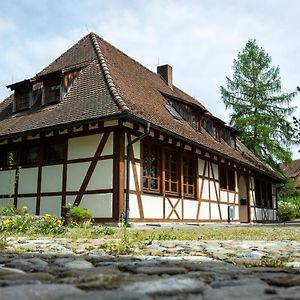 Schloss Hohenfels/ Gaestehaus Morgenrot Ξενοδοχείο Hohenfels  Exterior photo