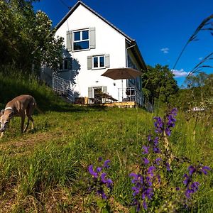 Freistehendes Ferienhaus Mit Kamin, Sauna, Atemberaubenden Blick Ins Tal, Mehrere Terrassen, 1500Qm Grundstueck 1,6M Hoch Eingezaeunt Βίλα Gerabronn Exterior photo