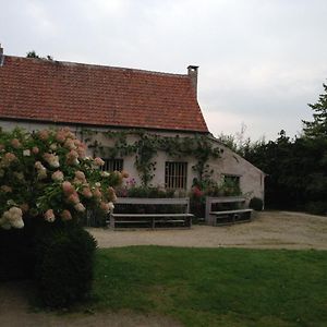 Trommelhoeve Farm Lofts Διαμέρισμα Boechout Exterior photo