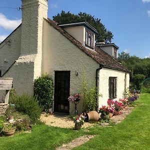 Chaseborough Farm Bed and Breakfast Wimborne Minster Exterior photo