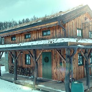 Chalet Boruvka - Biofarma Na Samote V Lesich Βίλα Benesov  Exterior photo