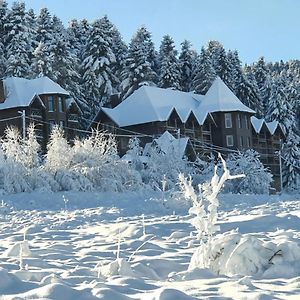 Pid Lisom Ξενοδοχείο Skhidnytsia Exterior photo