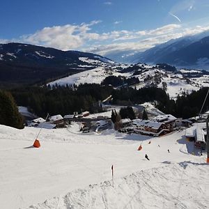 Panorama Chalet Βίλα Mittersill Exterior photo