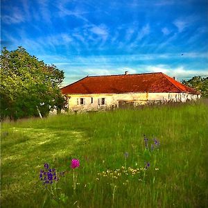 Le Bouyssou Bed and Breakfast Cazes-Mondenard Exterior photo