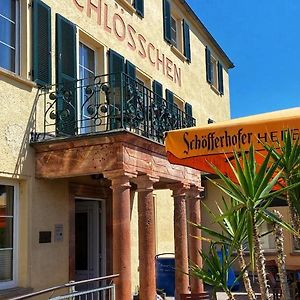 Das Muldenschloesschen - Gaestehaus & Restaurant Ξενοδοχείο Lunzenau Exterior photo