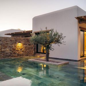 Hide Out Villas Μυλοπότας Exterior photo