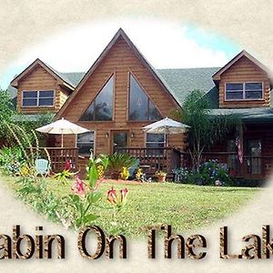 Cabin On The Lake Bed and Breakfast Lake Helen Exterior photo