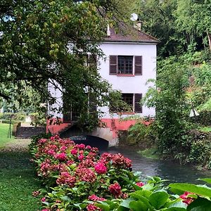 Moulin De Belle Isle Bed and Breakfast Bèze Exterior photo