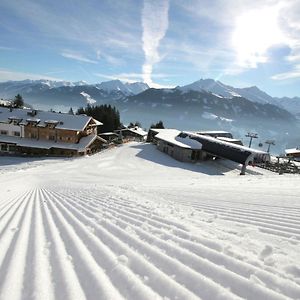 Elegant Chalet With Sauna In Mittersill Salzburg Διαμέρισμα Hollersbach im Pinzgau Exterior photo