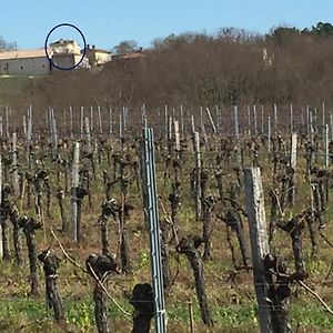 Superbe Gite A La Campagne Dans Le Bordelais Διαμέρισμα Saint-Vivien-de-Blaye Exterior photo