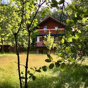 Ferienhaus Rhoener Wohnen Βίλα Hilders Exterior photo