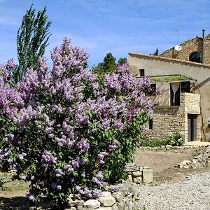 Ca L'Olier Βίλα Montblanquet Exterior photo