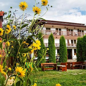 Pensiunea Amada Ξενοδοχείο Leresti Exterior photo