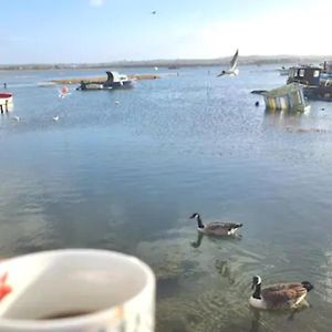 Holes Bay Nature Reserve, Poole, Right Next To The Water Βίλα Exterior photo