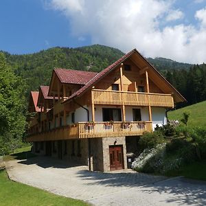 Turisticna Kmetija Zgornji Zavratnik Ξενοδοχείο Luče Exterior photo