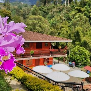 Hotel Orillas Del Pizano Jardín Exterior photo