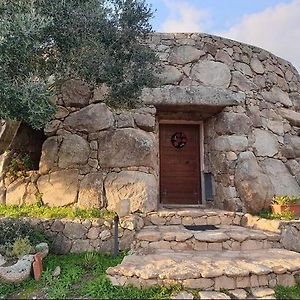 Il Nuraghe Del Lago Coghinas Bed and Breakfast Oschiri Exterior photo