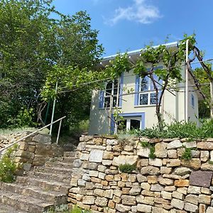 Weinbergshaus Mit Blick Auf'S Wasser Βίλα Salzatal Exterior photo