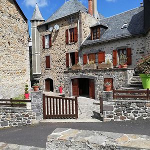 Maison Typique Pleine De Charme Peyrusse Cantal Βίλα Exterior photo