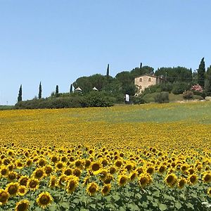 Il Vecchio Seccatoio Bed and Breakfast Solomeo Exterior photo