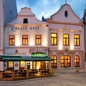 Hotel Concertino Zlata Husa Jindrichuv Hradec Exterior photo