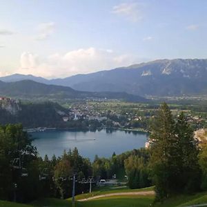 Apartment Bee Near Bled Zabreznica Exterior photo