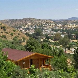 Happy Glamping Ξενοδοχείο Agios Theodoros Exterior photo