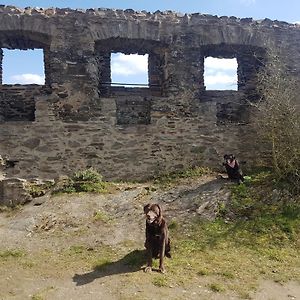 Ferienhaus Leopold Mit Burgblick An Der Mosel Διαμέρισμα Burgen  Exterior photo