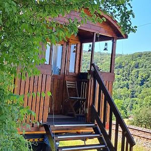 Autarkes Tiny House Mit Rheinblick Διαμέρισμα Rumikon Exterior photo