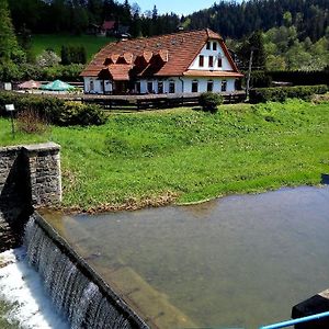 Penzion U Busu Ξενοδοχείο Mala Bystrice Exterior photo