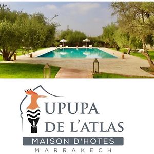 Upupa De L'Atlas Ξενοδοχείο Μαρακές Exterior photo