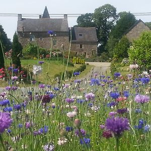 Manoir De La Branche Bed and Breakfast Maen Roch Exterior photo