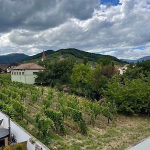 Alsacebnb - Gite 12 Personnes Dans Le Vignoble - Piscine Privee & Spa Ξενοδοχείο Ammerschwihr Exterior photo