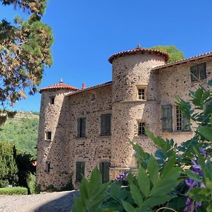 Chateau Paysan Ecolobio De Durianne Bed and Breakfast Le Monteil  Exterior photo