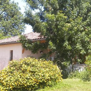 Maison De Vacances De Recailleau Βίλα Nérac Exterior photo