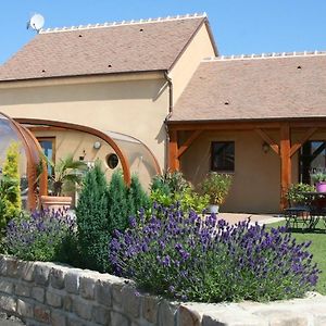 Maison De Charme En Berry Pres D'Un Golf & Spa, Jardin D'Hiver, Velos, Animaux Bienvenus - Tout Inclus - Fr-1-591-332 Βίλα Pouligny-Notre-Dame Exterior photo