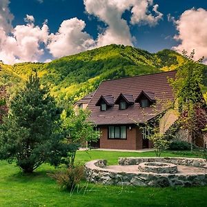 Poiana - Apuseni Mountains Βίλα Pietroasa  Exterior photo