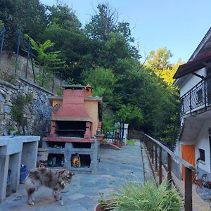 The Giaggiolo'S House Διαμέρισμα Serra Rocco Exterior photo