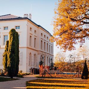 Chateau De Longpre Ξενοδοχείο Varilhes Exterior photo