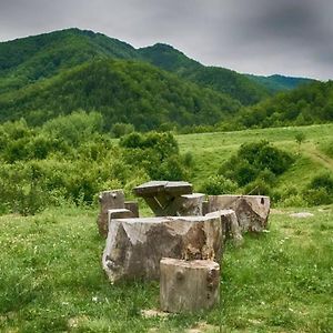 Aleu - Apuseni Mountains Βίλα Pietroasa  Exterior photo