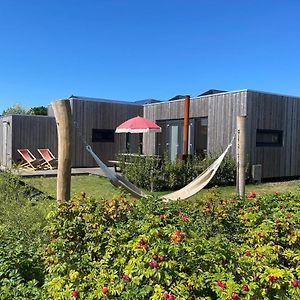 Wad Nou Terschelling Heerlijk Duurzaam Chalet! Βίλα Midsland Exterior photo