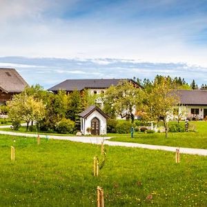 Vorderreithbauer Διαμέρισμα Hof bei Salzburg Exterior photo