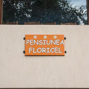 Pensiunea Floricel Ξενοδοχείο Stoeneşti Exterior photo