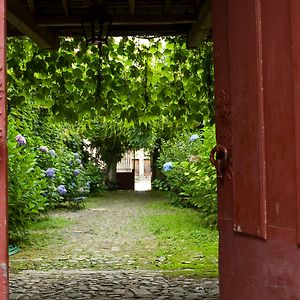 Quinta Da Picaria Bed and Breakfast Santo Tirso Exterior photo