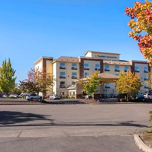 Comfort Inn & Suites Σάλεμ Exterior photo