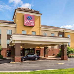 Comfort Suites Fairview Heights Exterior photo