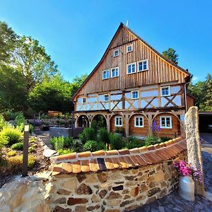 Pferdehof Am Burgsberg, Ferienzimmer, Monteurzimmer Διαμέρισμα Seifhennersdorf Exterior photo