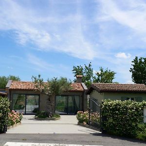 Agriturismo Torre Del Marino Ξενοδοχείο Brisighella Exterior photo