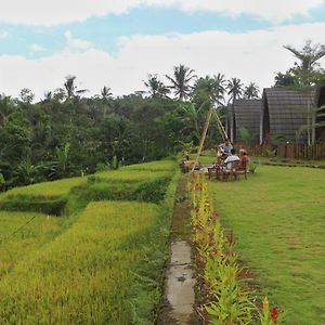 Omah Bapak Ijen Eco House Ξενοδοχείο Licin Exterior photo