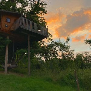 Le Jardin Ecolodge Pontacq Exterior photo